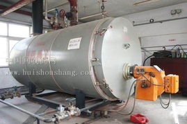 服装厂设备清仓 2吨燃油锅炉、粘合机、锁眼机等专业设备整体转让